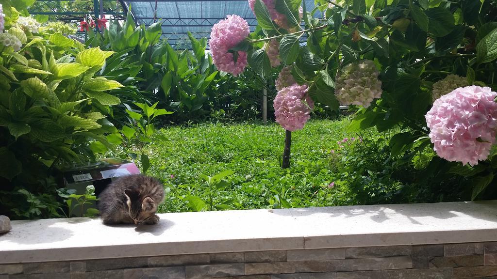 Holiday Home Petra Podstrana Bagian luar foto